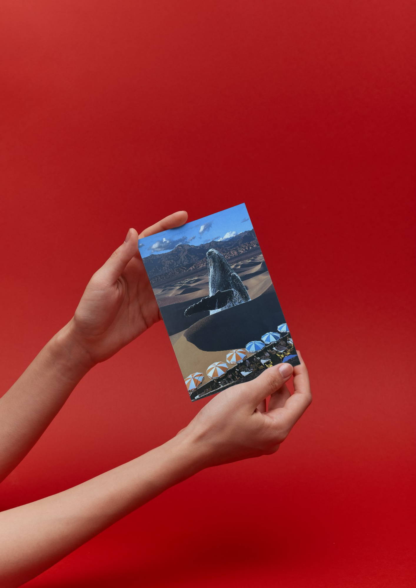 Collageprint 'Sand whale'