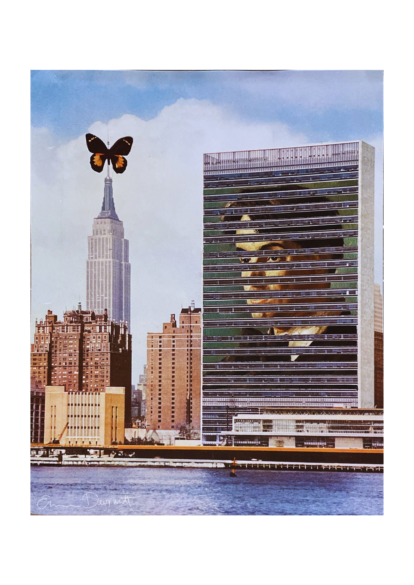 Collageprint 'Butterspy'