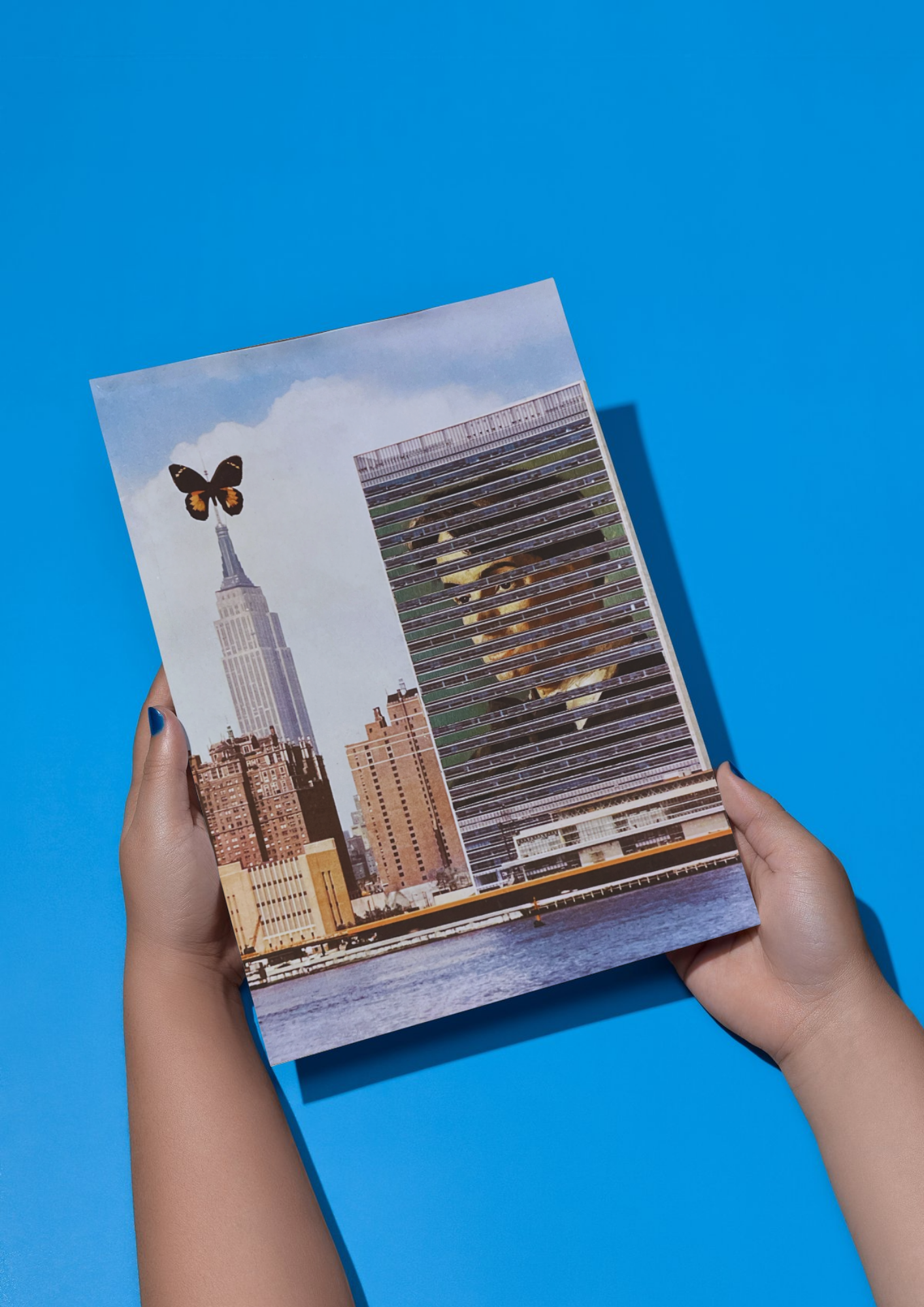 Collageprint 'Butterspy'