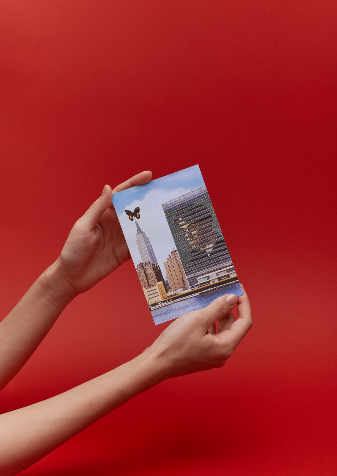 Collageprint 'Butterspy'